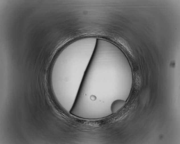 X0000098070491200804040731