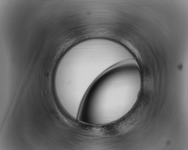X0000098070493200804040731
