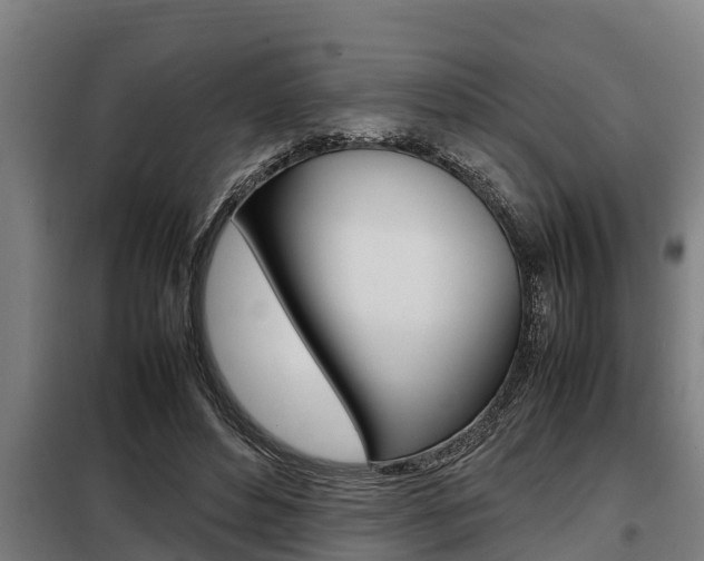 X0000098070496200804040731