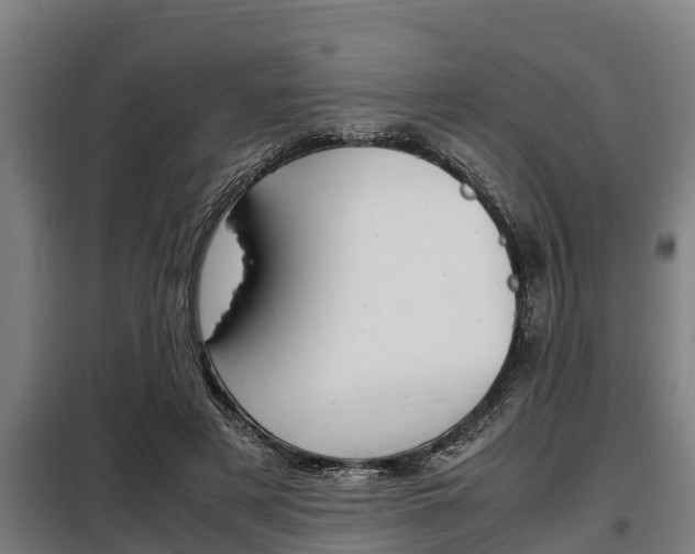 X0000098070497200804040731