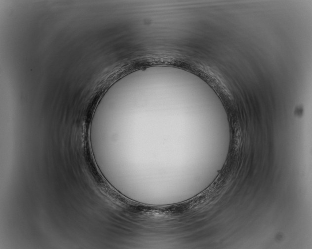 X0000098070498200804040731