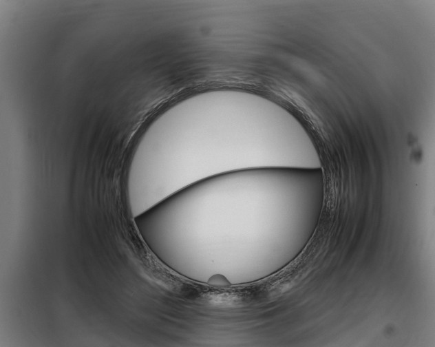 X0000098070500200804040731