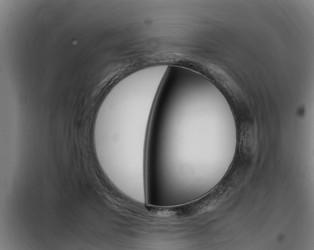 X0000098070501200804040731