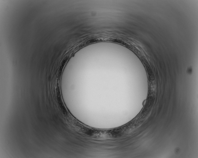 X0000098070503200804040731