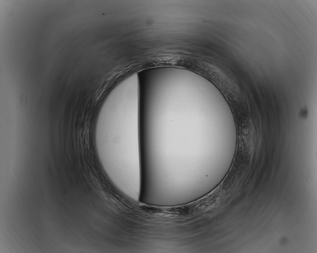 X0000098070504200804040731
