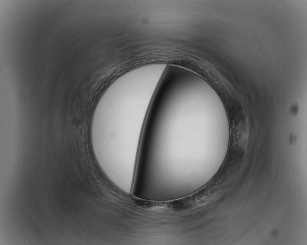 X0000098070505200804040731