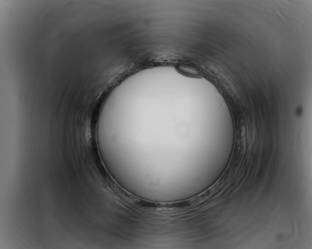 X0000098070508200804040731