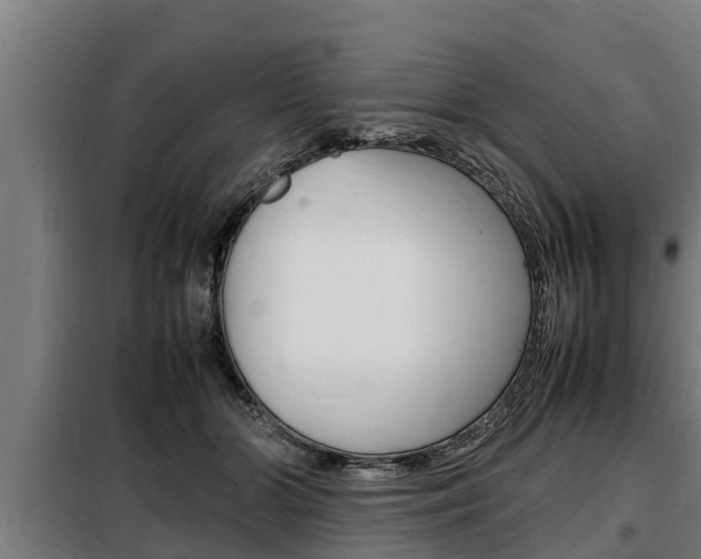 X0000098070510200804040731
