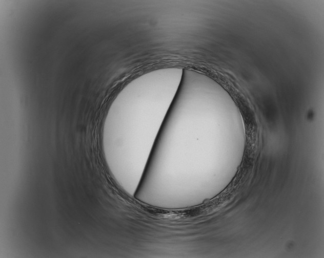 X0000098070511200804040731