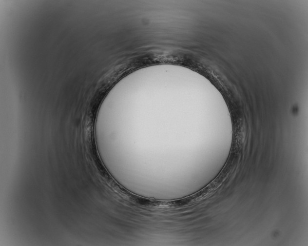 X0000098070513200804040731