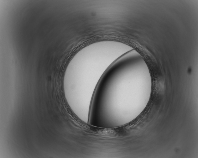 X0000098070517200804040730