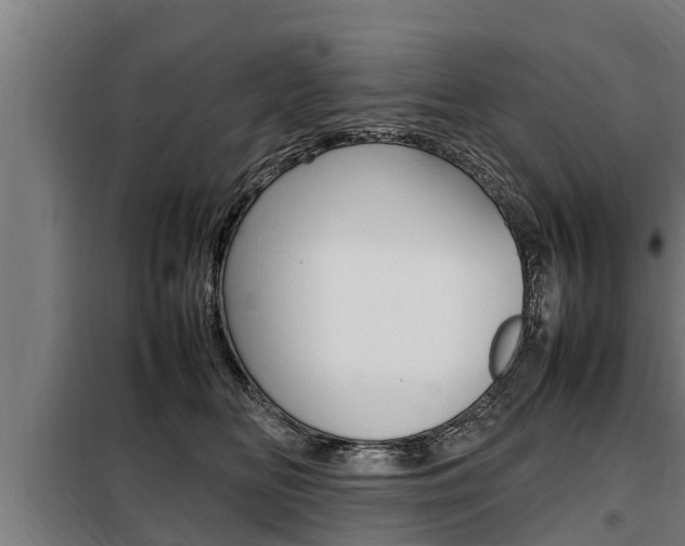 X0000098070518200804040730