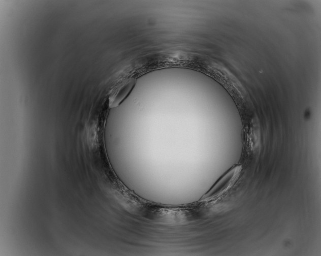 X0000098070520200804040730