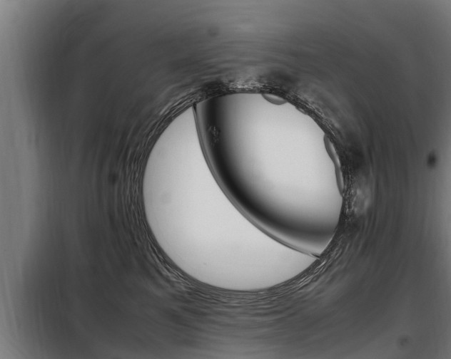 X0000098070521200804040730