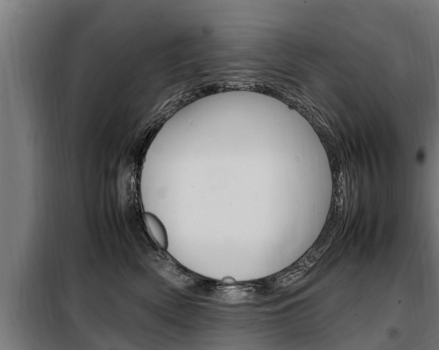 X0000098070522200804040730