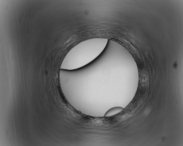 X0000098070523200804040730
