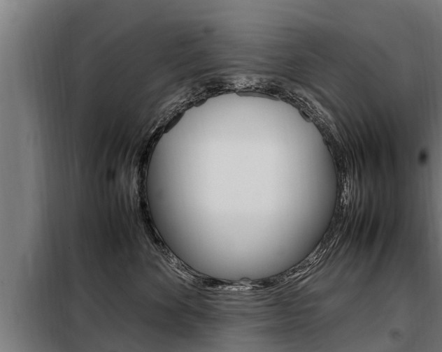 X0000098070524200804040730