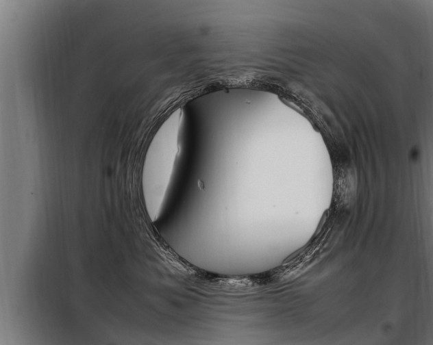 X0000098070525200804040730