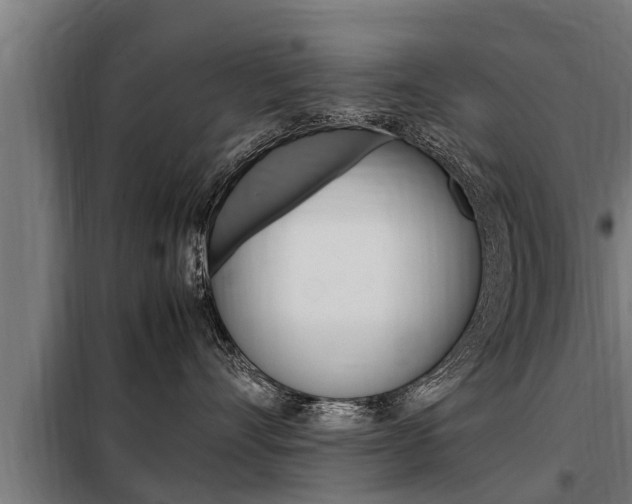 X0000098070528200804040730