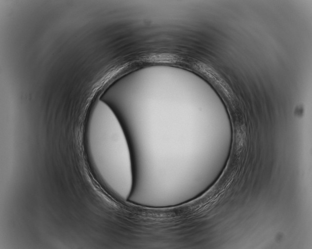 X0000098070533200804040730