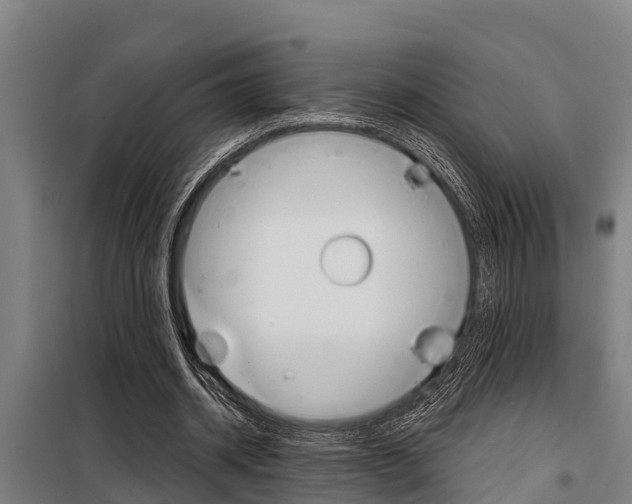 X0000098070534200804040730