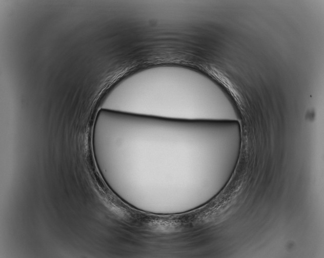 X0000098070537200804040730