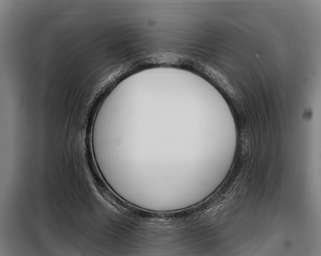 X0000098070538200804040730