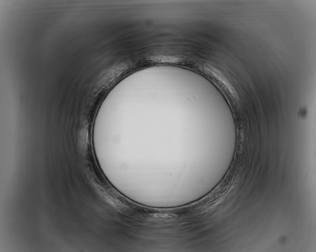 X0000098070541200804040730