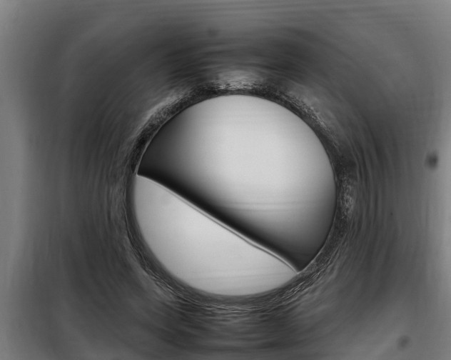 X0000098070543200804040730