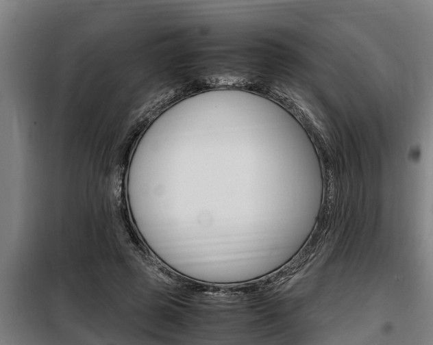 X0000098070545200804040730