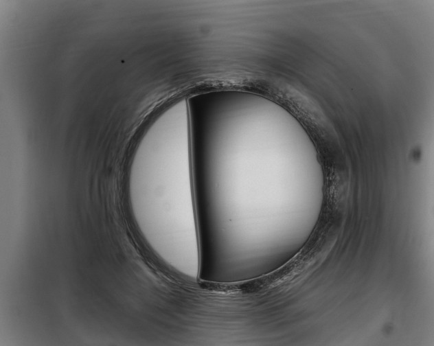 X0000098070548200804040730