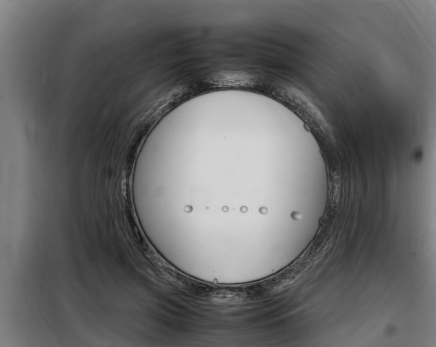 X0000098070549200804040730