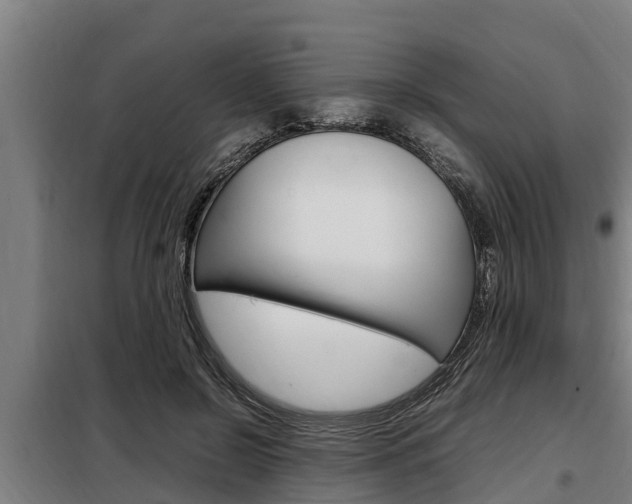 X0000098070550200804040730