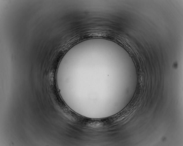 X0000098070551200804040730