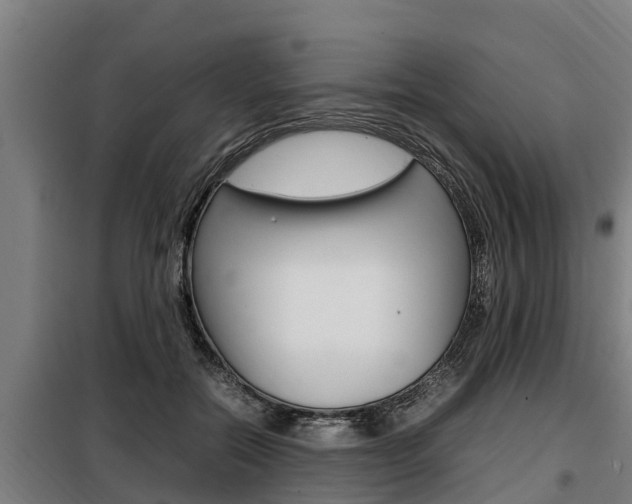 X0000098070554200804040730