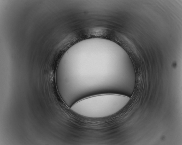 X0000098070555200804040730