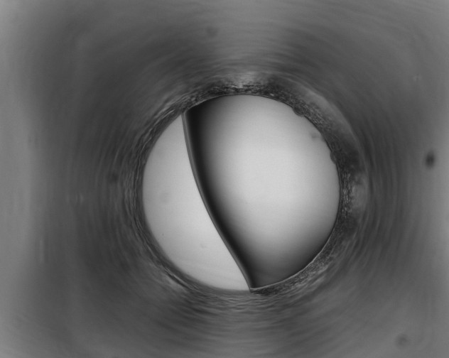 X0000098070558200804040730