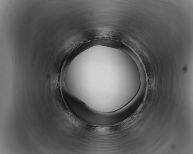 X0000098070560200804040730