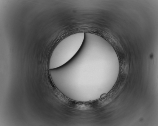X0000098070561200804040730