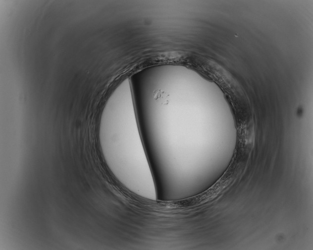 X0000098070564200804040730