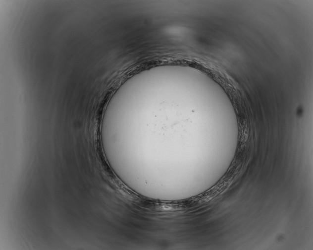 X0000098070565200804040730