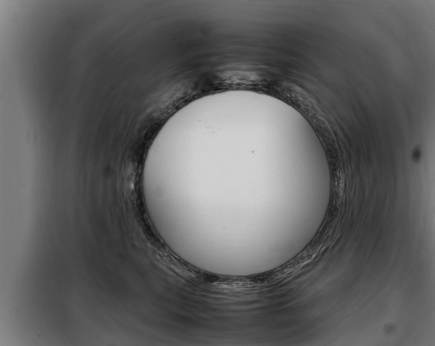X0000098070567200804040730