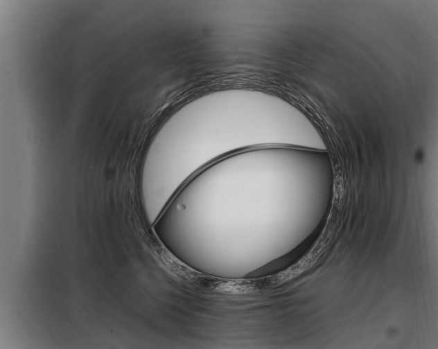 X0000098070568200804040730