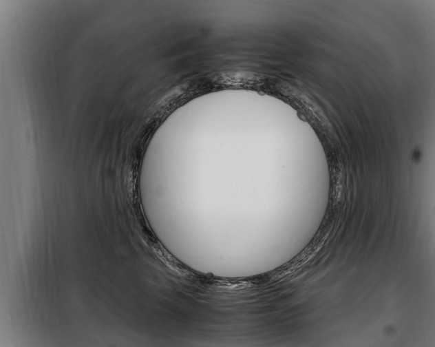 X0000098070569200804040730