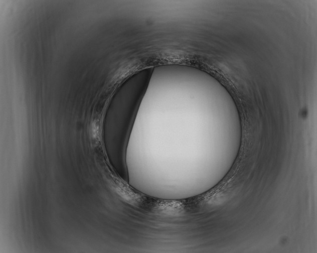 X0000098070576200804040730