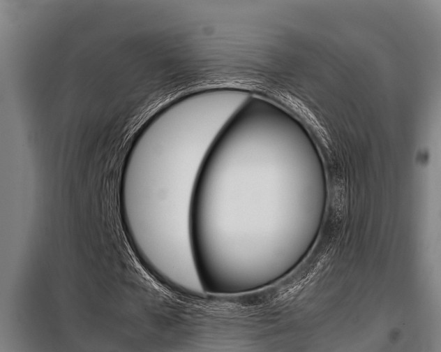 X0000098070577200804040729