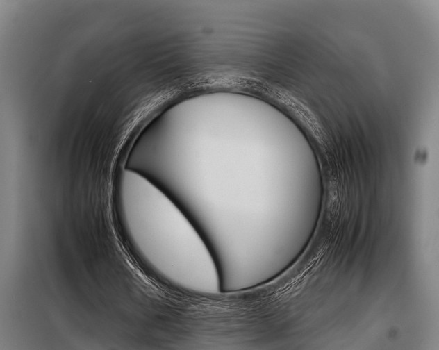 X0000098070578200804040729