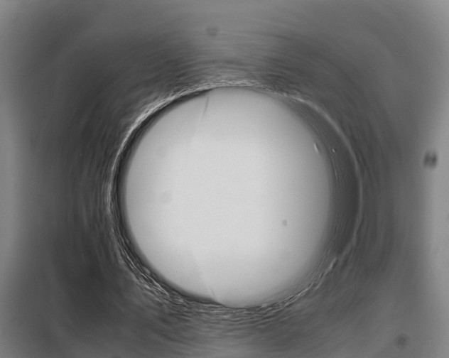 X0000098070579200804040729