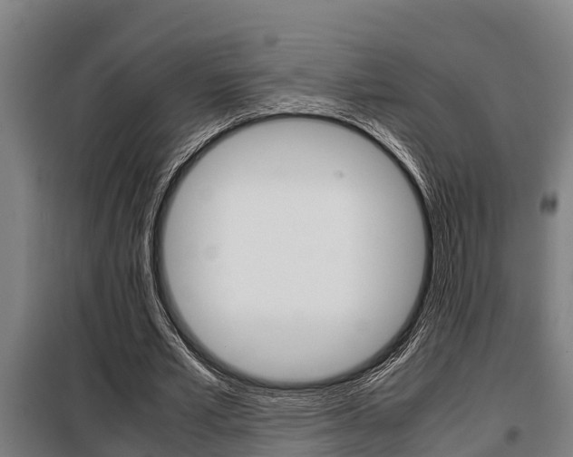 X0000098070581200804040729