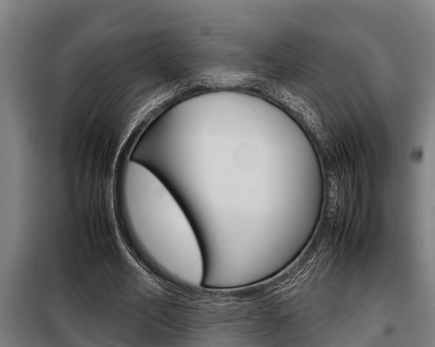 X0000098070582200804040729